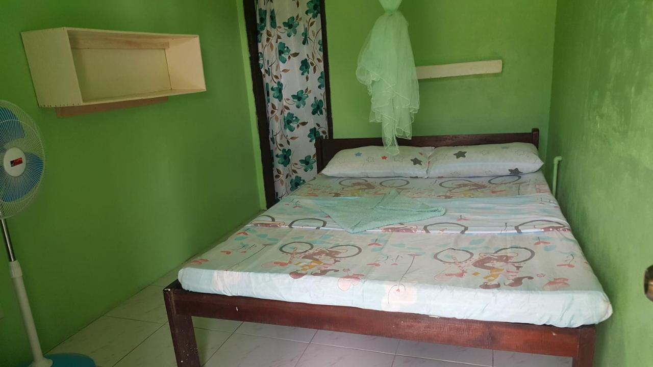 Trisha Lodging House San Vicente  Exteriör bild